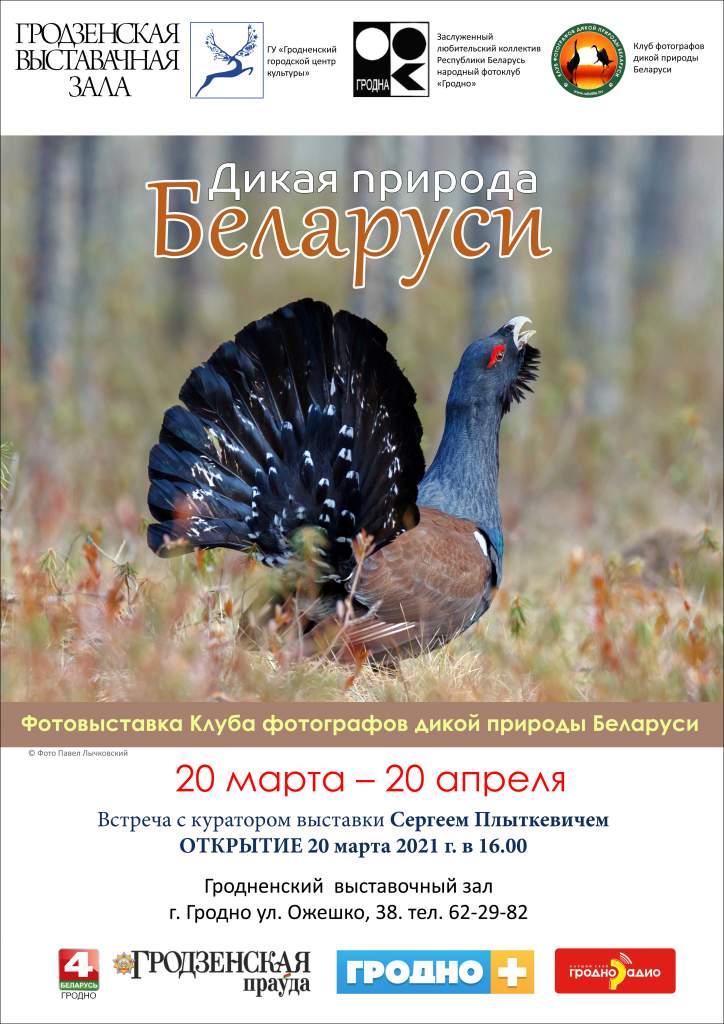 постер а3 глухарь.jpg