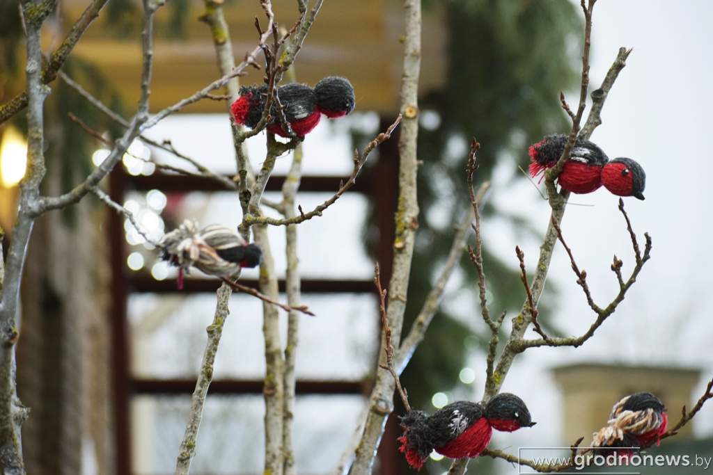 DSC_0450.JPG