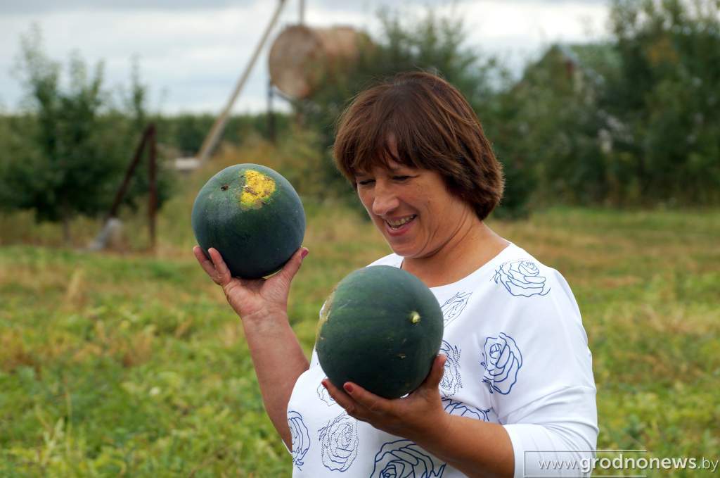 07_на бахче_инна синкевич.JPG