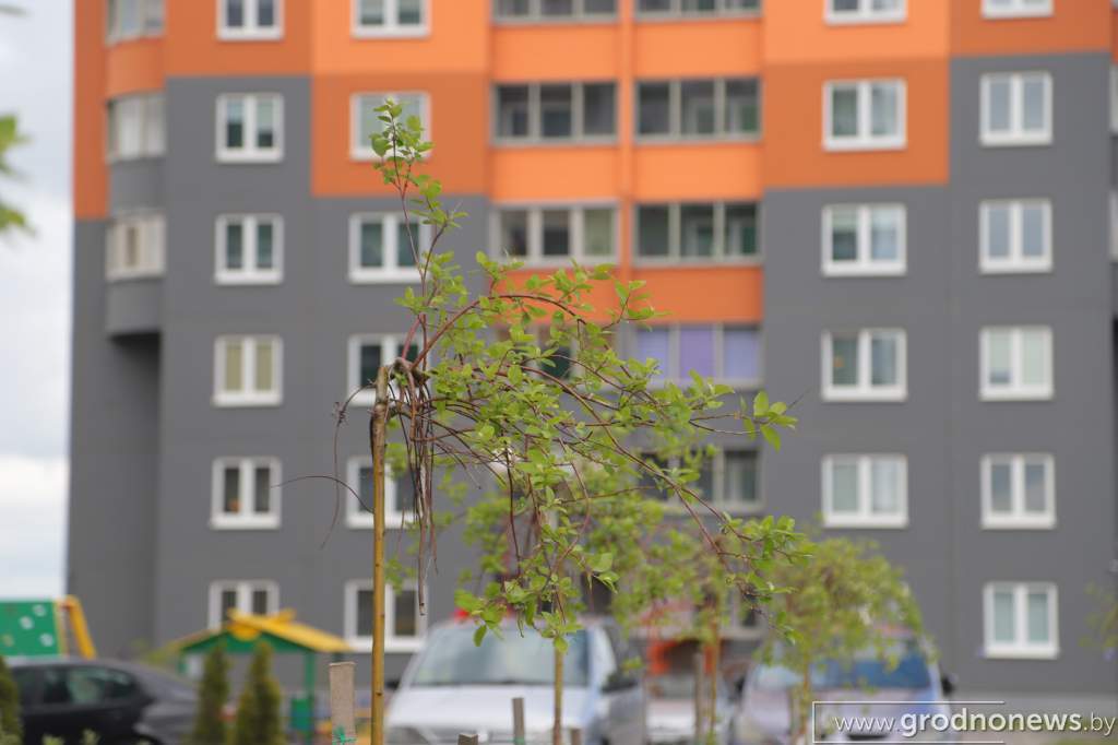IMG_4480.JPG