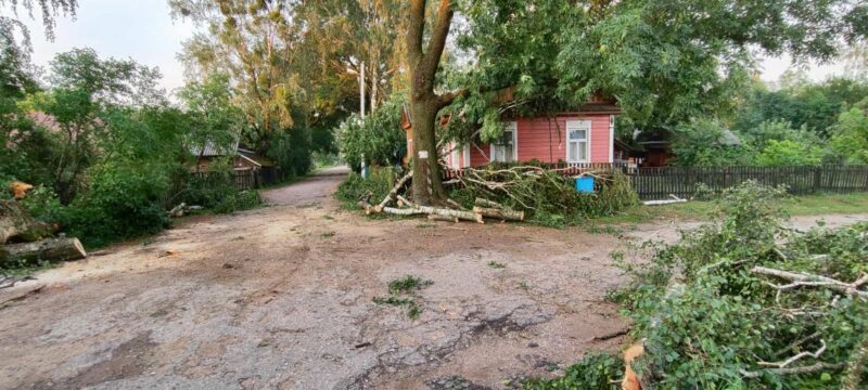 изображение_viber_2024-07-13_21-15-28-151-800x360.jpg