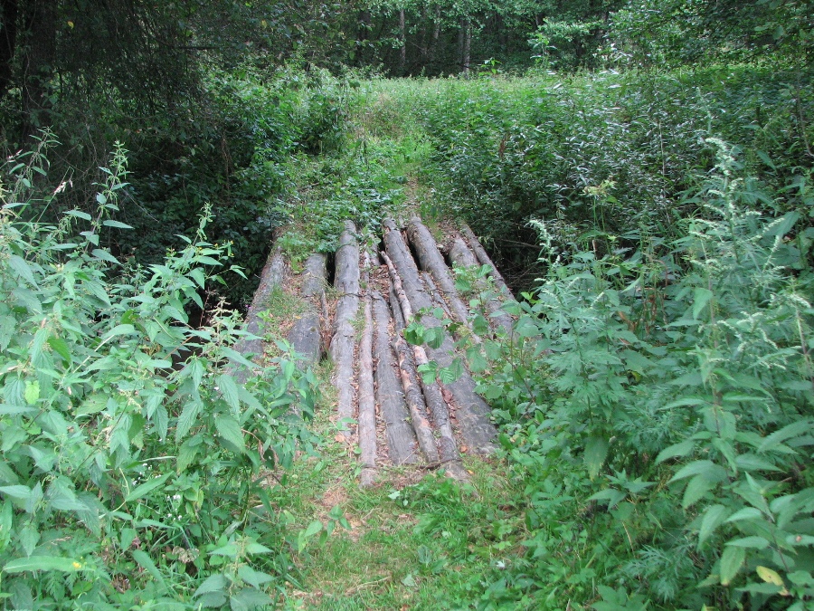 лесная кладка в яцуках.jpg