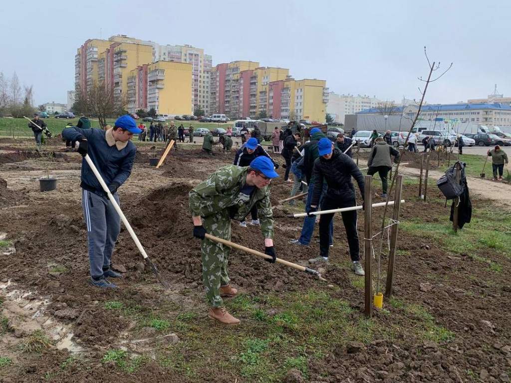 АЛР 7.jpg