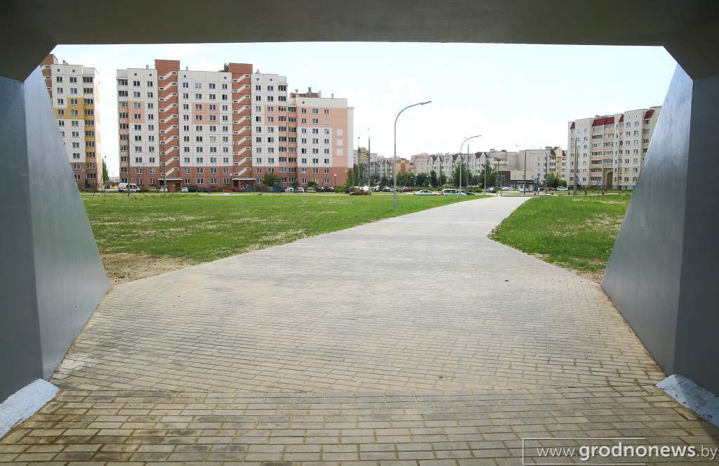 DPP_47988.JPG