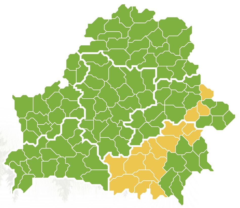 генгенгег.JPG