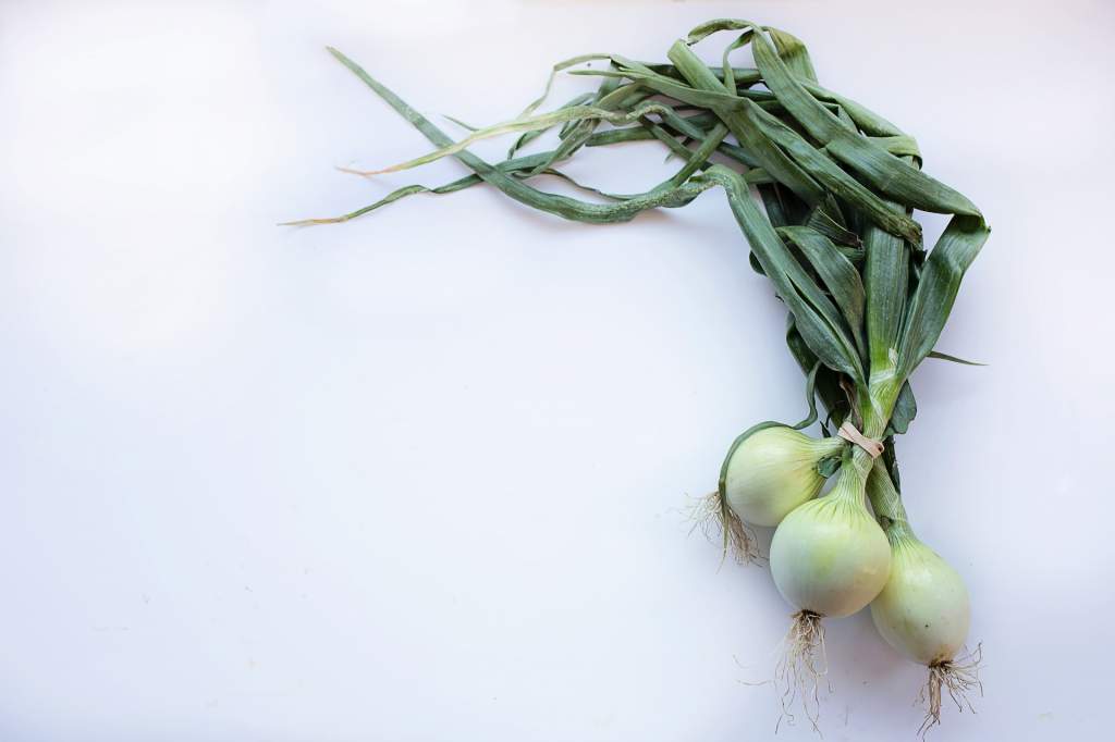 onions-2485054_1920.jpg