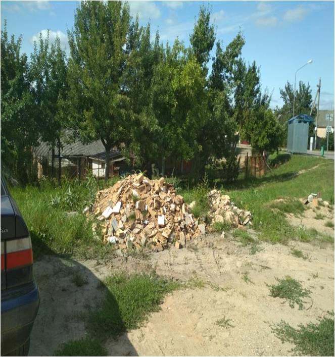 волк1.jpg