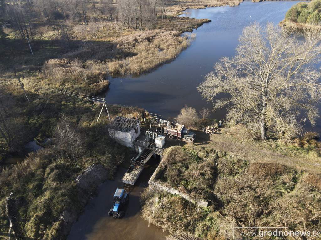 2021-11-01 13.16.49.JPG