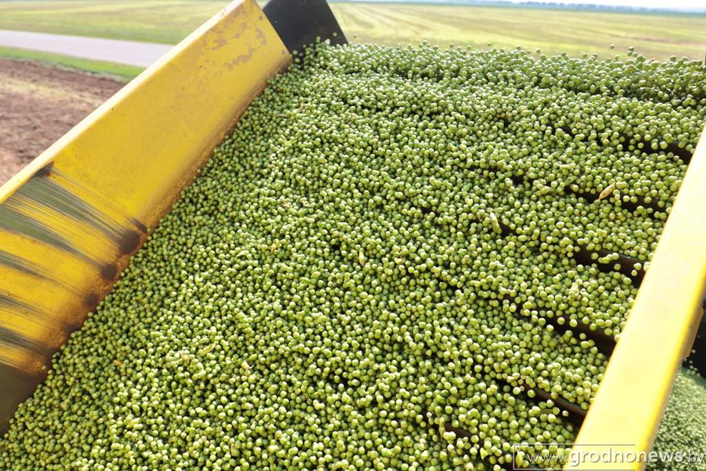 2021-07-13 11.01.08.JPG