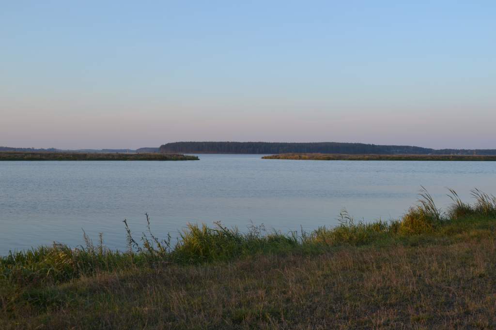 DSC_2717.JPG