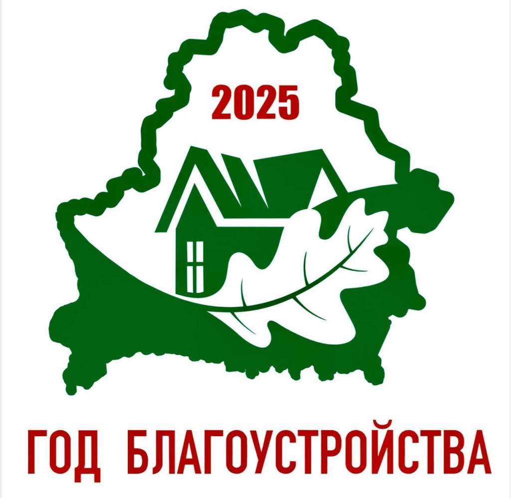 Год благоустройства.jpg