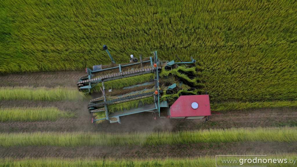 DJI_0904.JPG
