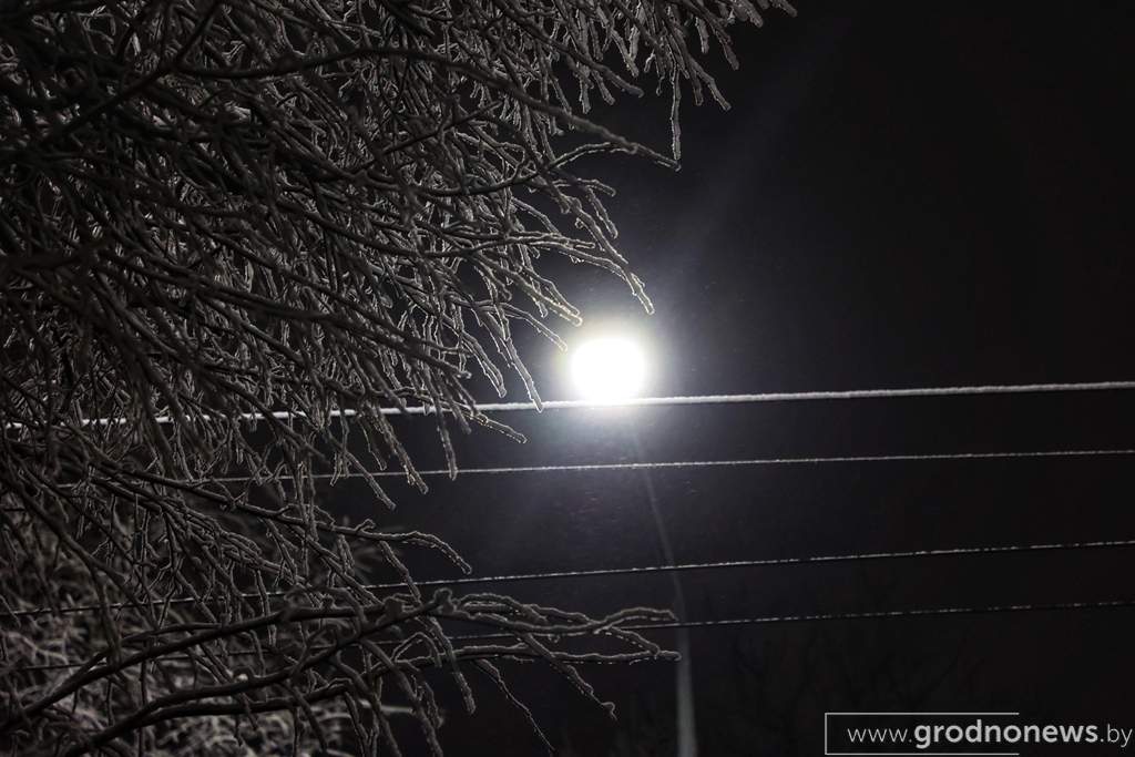 2021-12-08 08.24.20.JPG