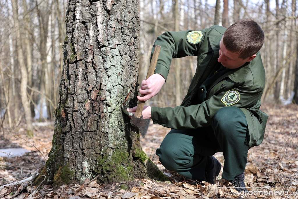 2021-03-29 10.41.00.JPG