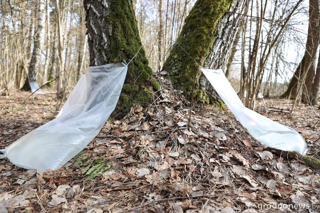 2021-03-29 10.34.18.JPG