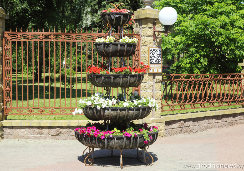DPP_40222.JPG