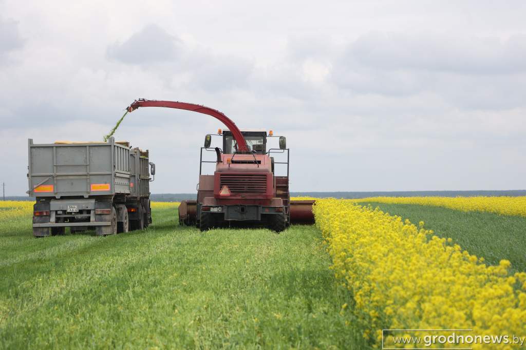 2022-05-14 12.25.57.JPG