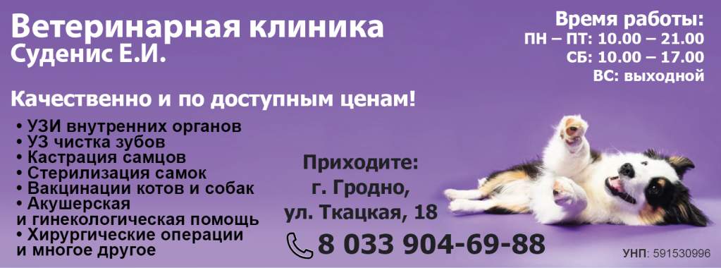 Суденис_осн.jpg