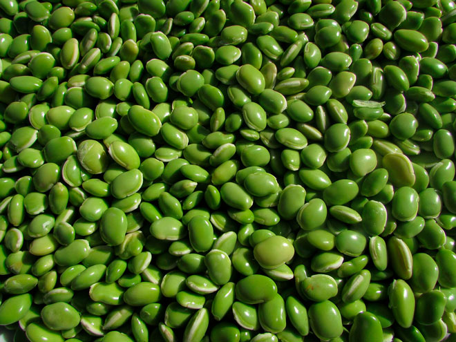 lushenaya-fasol.jpg