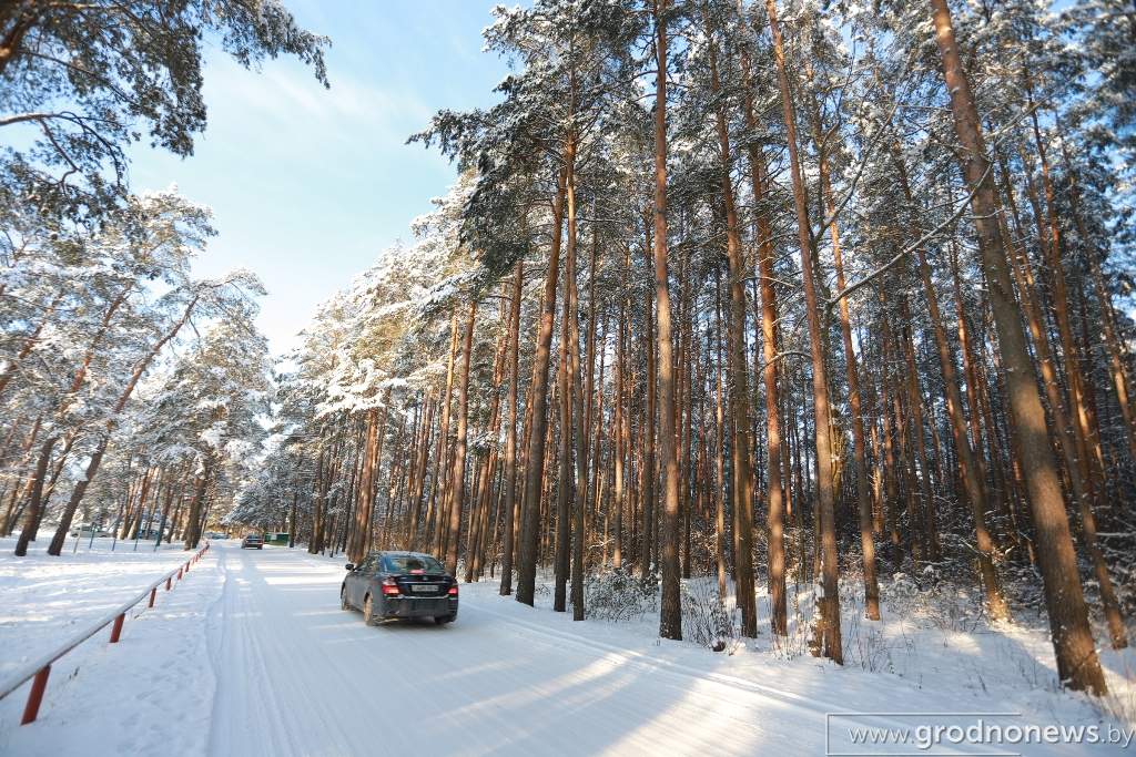 2021-01-17 15.53.15.JPG