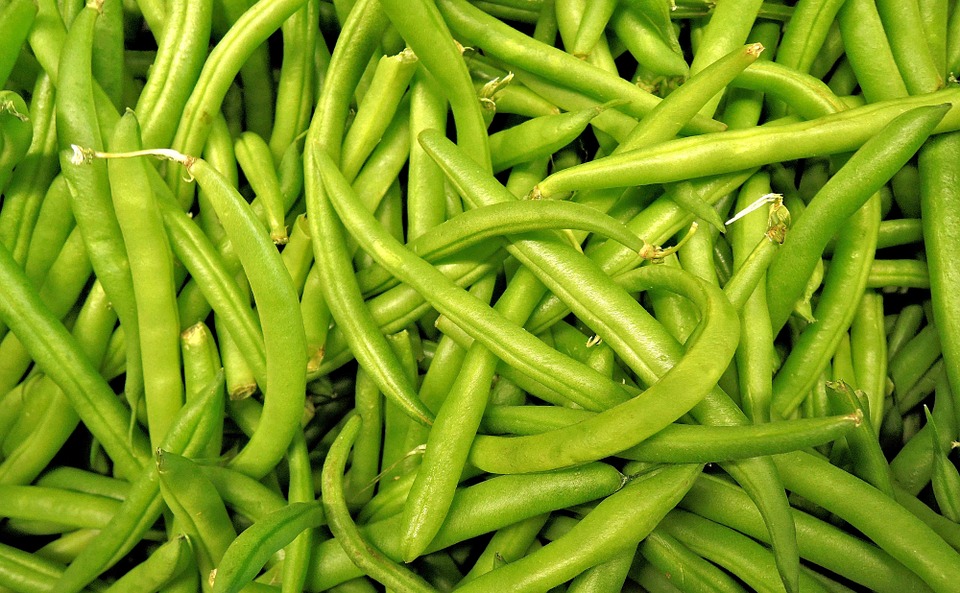 green-beans-1018624_960_720.jpg