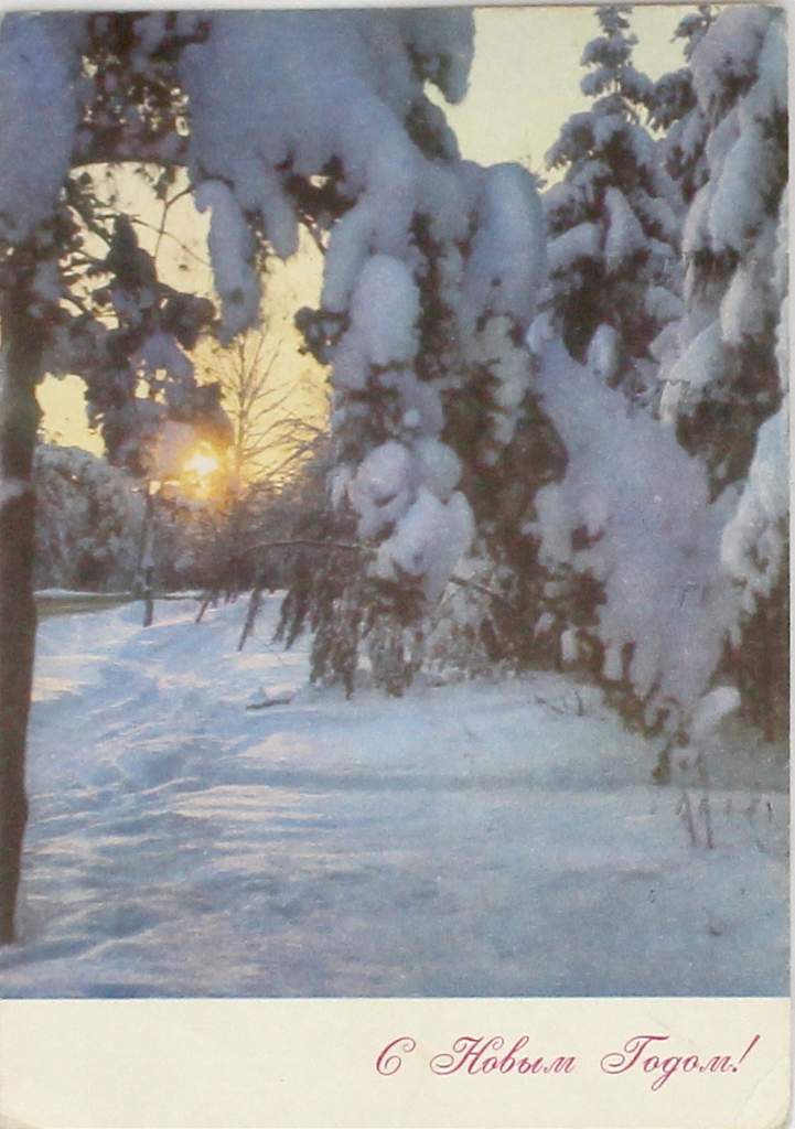 Л.8.jpg