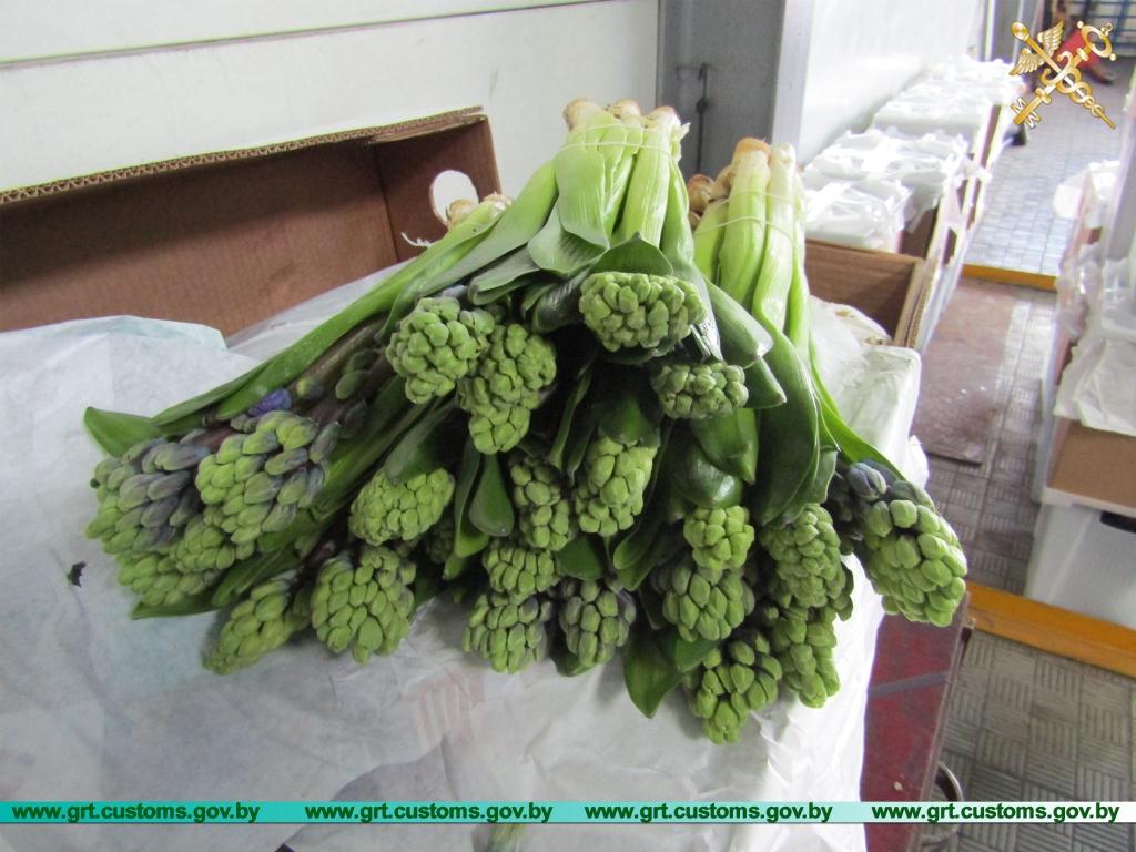 26082019-7.jpg