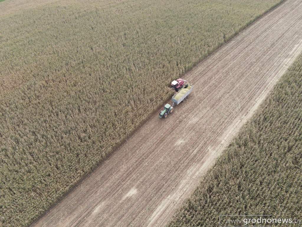 DJI_0602.JPG