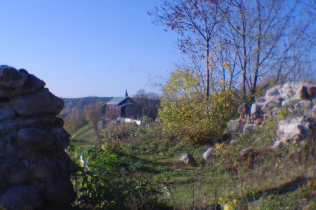 IMGP7286.JPG