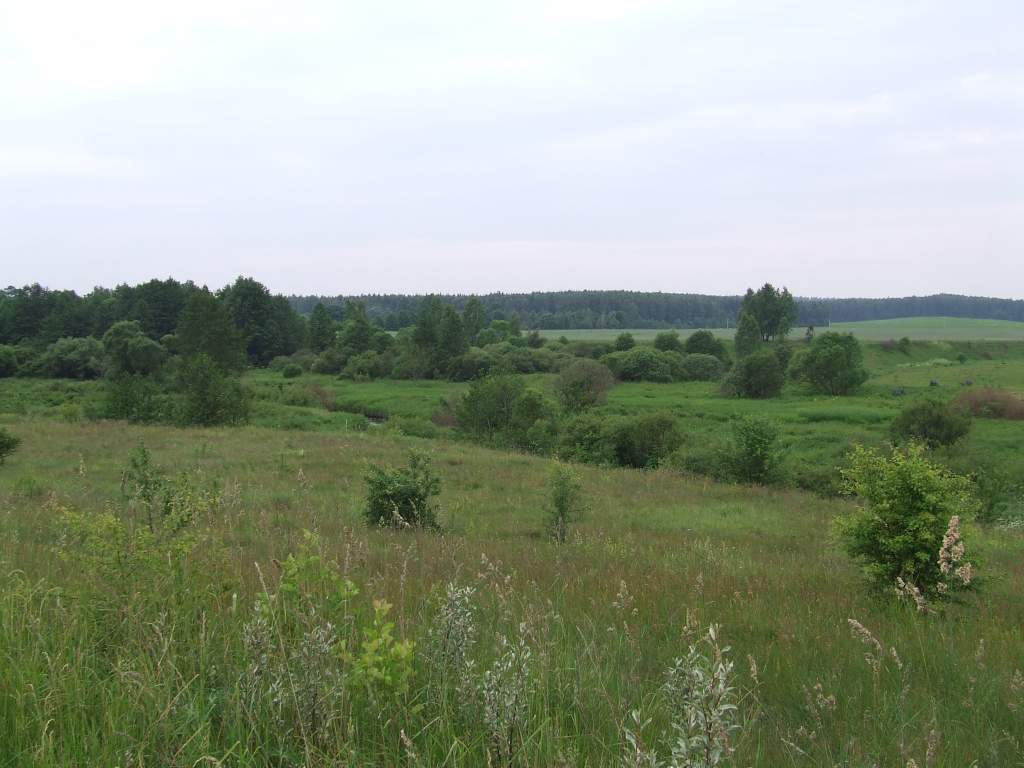 DSCF3289.JPG