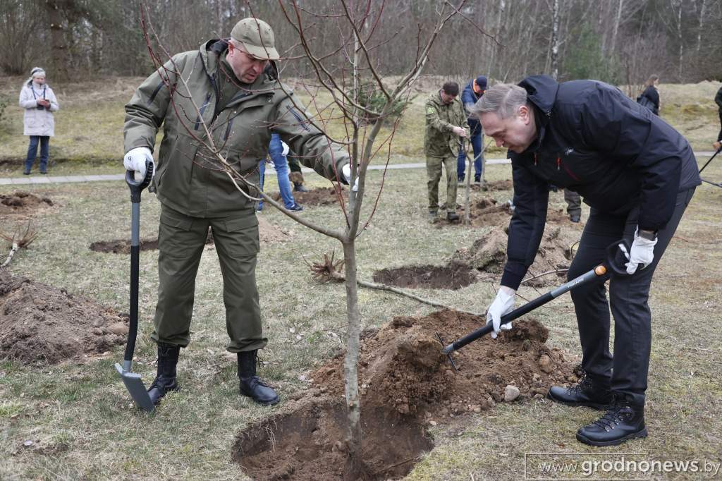 2022-04-09 10.26.18.JPG