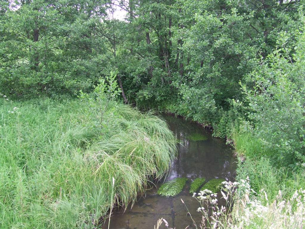 DSCF3270.JPG