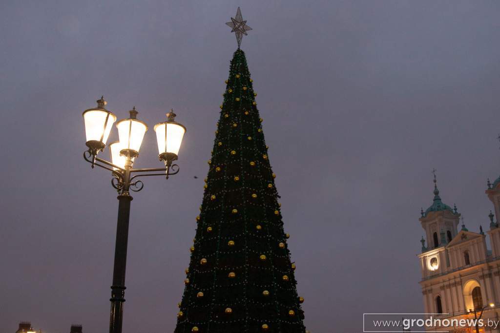 IMG_9865.JPG