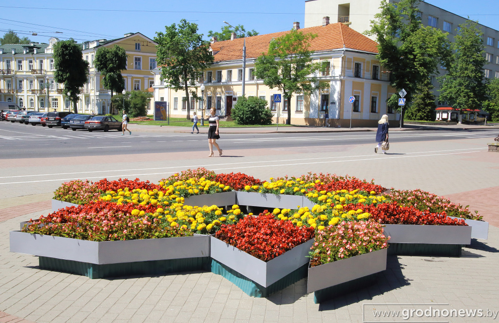 DPP_40226.JPG