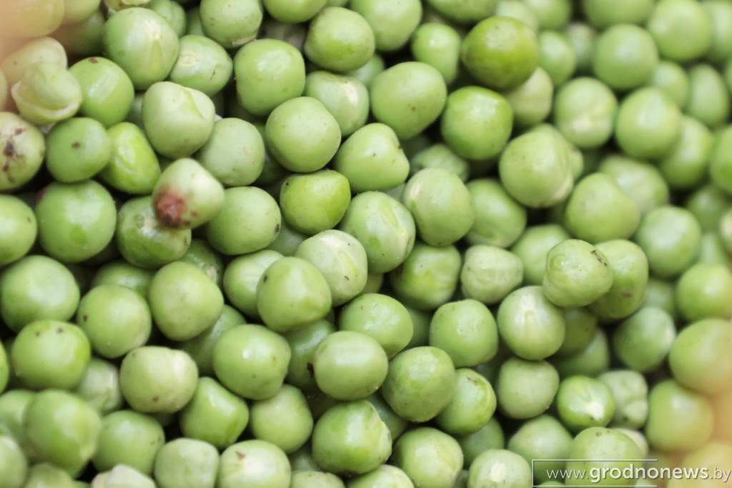 2021-07-13 10.18.04.JPG