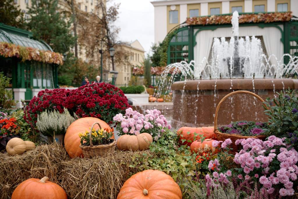 05-10-24_Золотая_Осень_0072.jpg