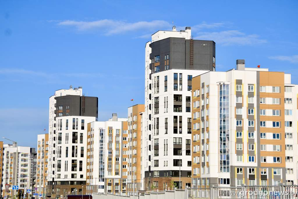 Без названия (1).png