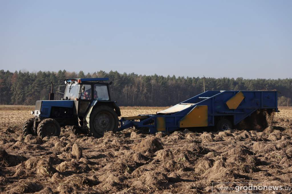 2021-11-01 12.20.16.JPG