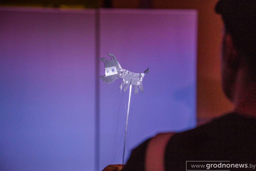 IMG_4795.jpg