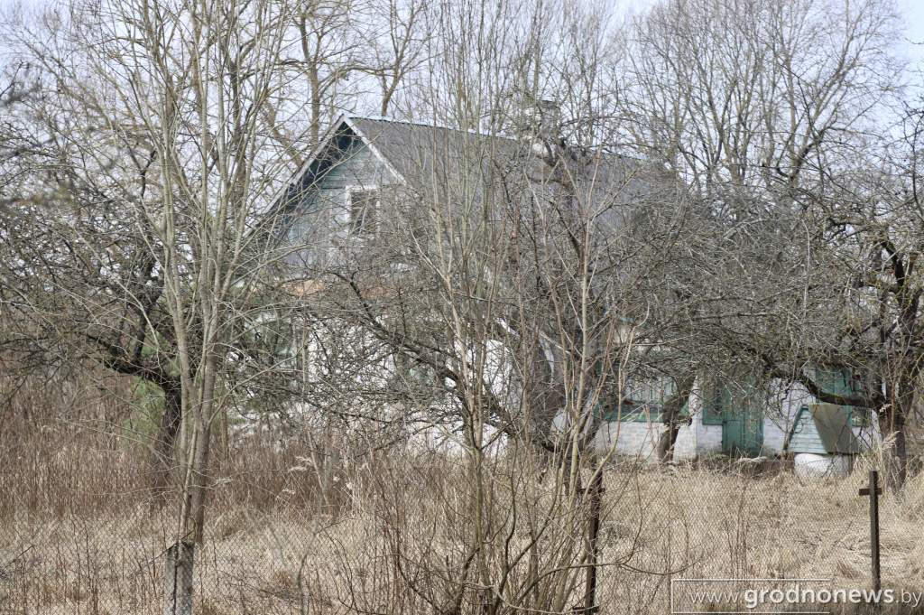 IMG_7955.JPG