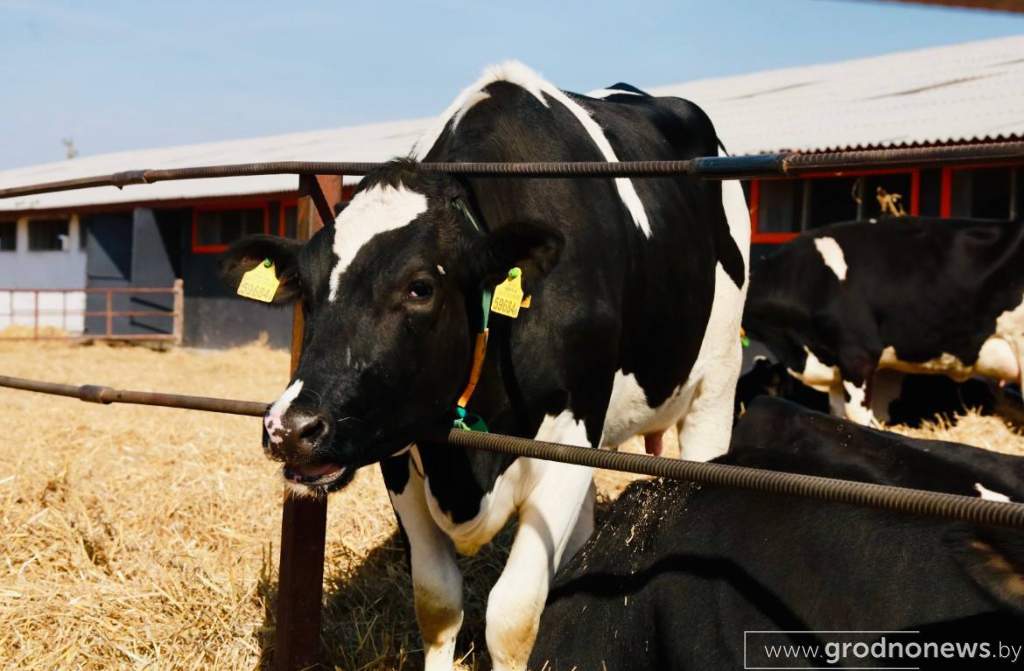 photo_2024-09-24_14-35-36 (2).jpg