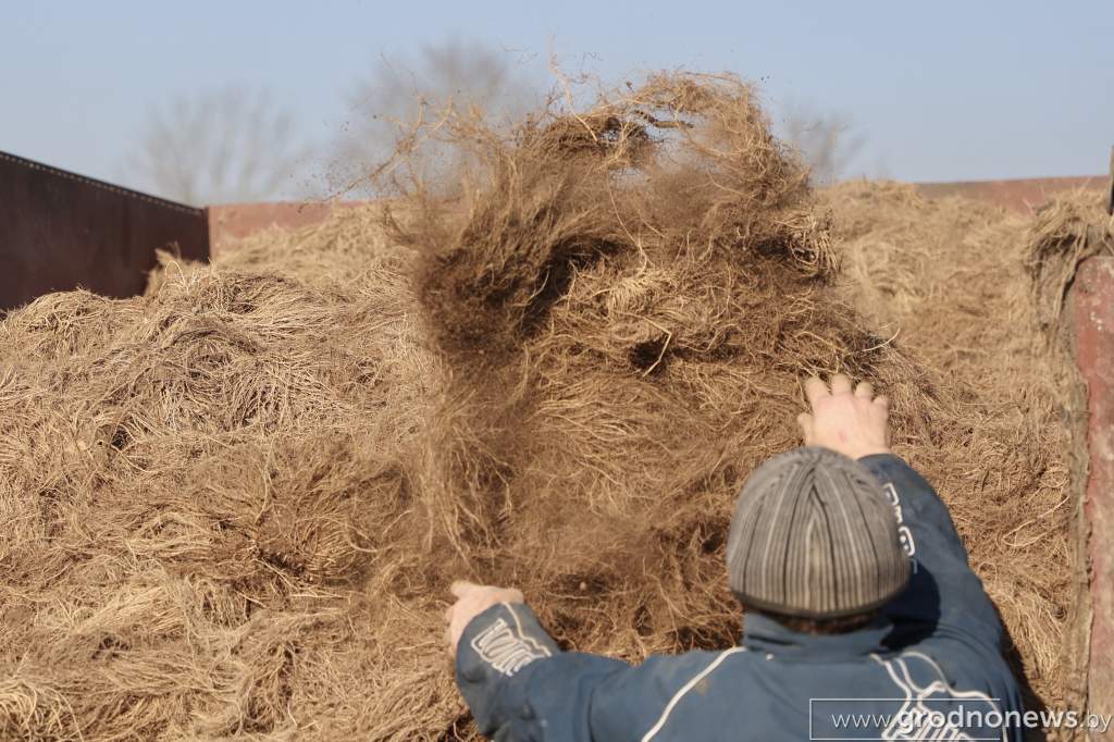 2021-11-01 12.15.51.JPG