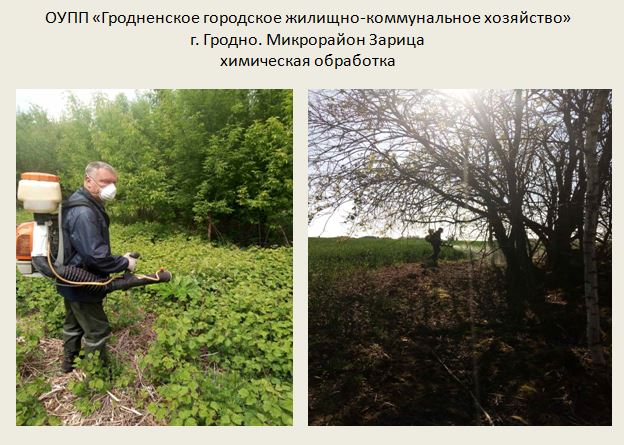 Снимок.JPG
