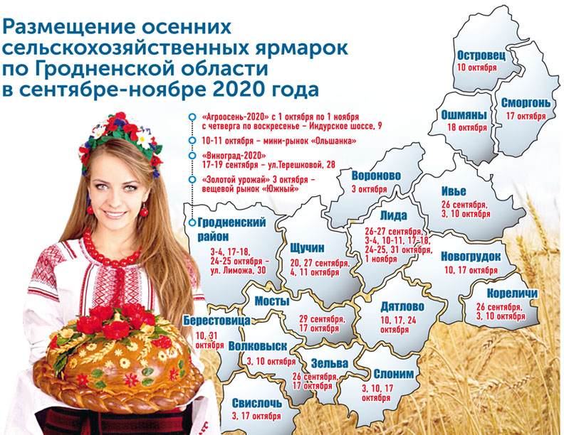 инфографика ярмарки.jpg