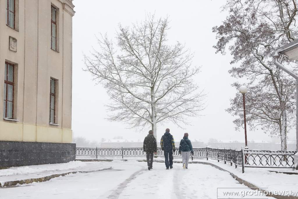 2021-01-06 11.55.23.JPG