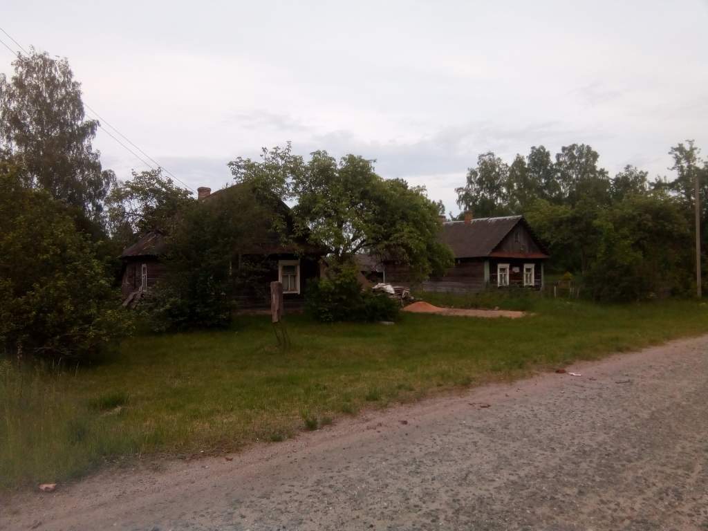 Заводный Лес (8).jpg