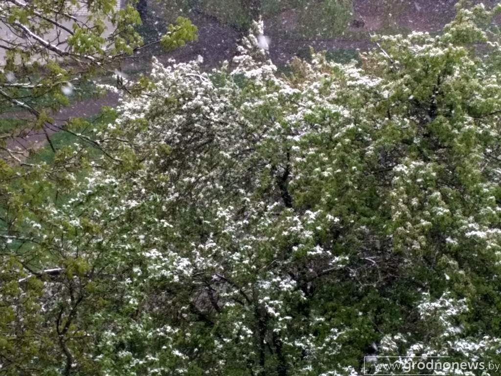 IMG_20200512_085845_HDR.jpg