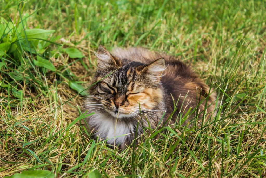 изображение_viber_2019-08-08_13-55-55.jpg