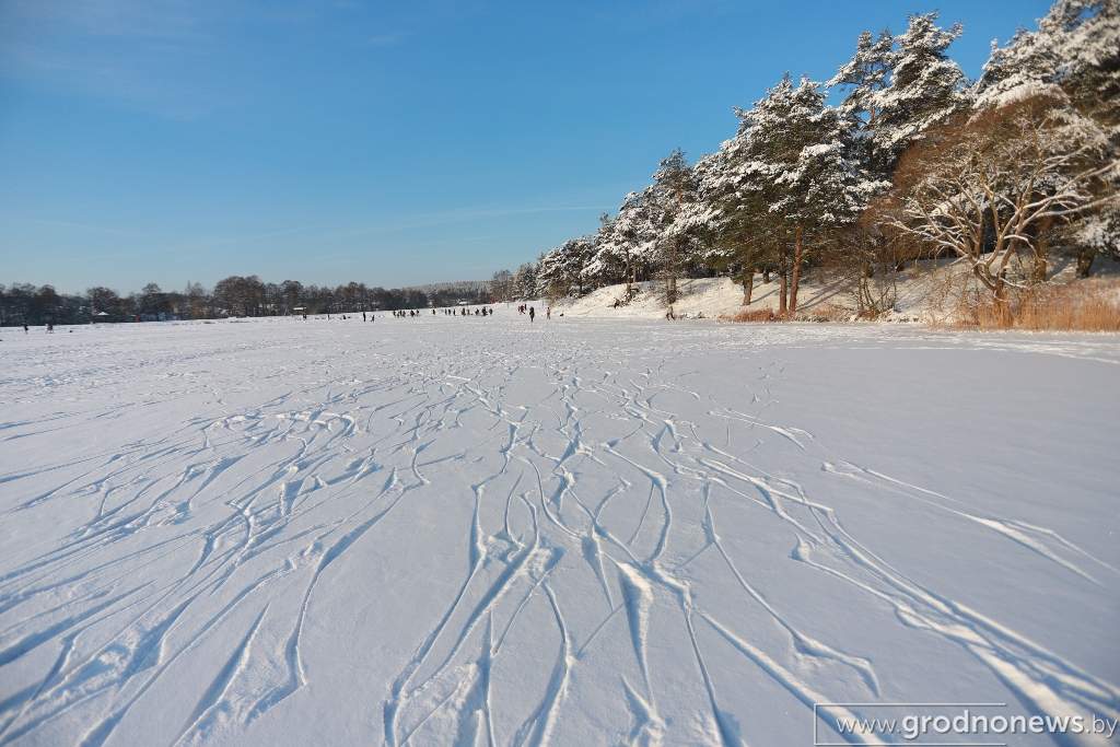 2021-01-17 15.51.26.JPG