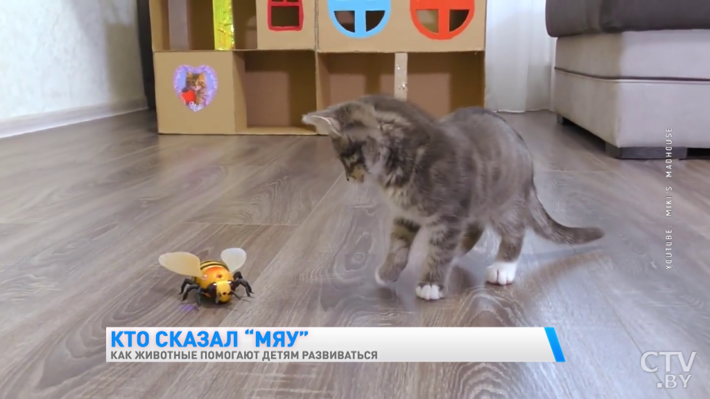 domashnie_zhivotnye_i_deti._28.12.2020_4.png
